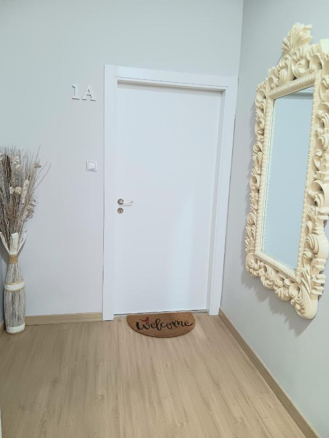 Apartamentos Tierras Bobal Requena Εξωτερικό φωτογραφία